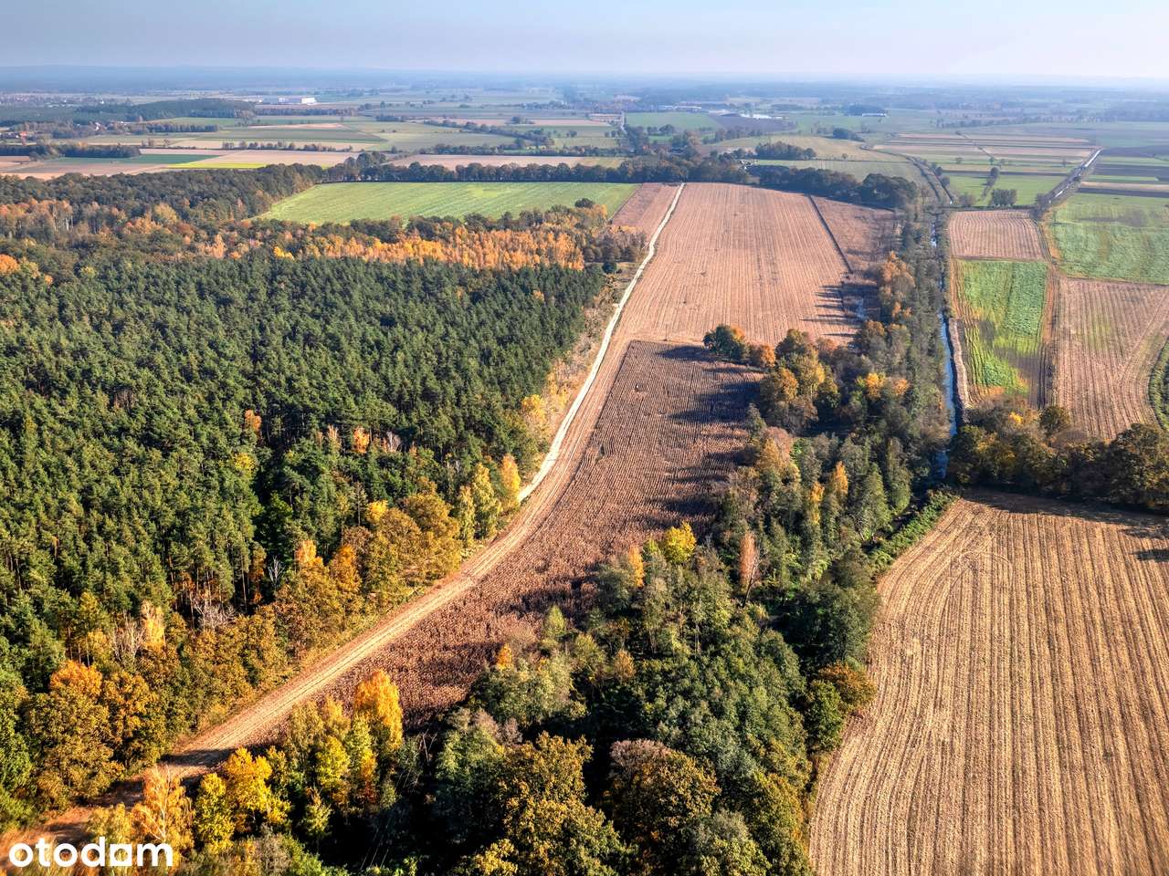 Działka inwestycyjna - hotel, dom opieki, centrum rehabilitacji, sport-10