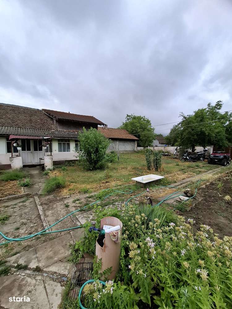 Giarmata – Teren Constructii – Vatra Satului - Imagine principală: 5/6