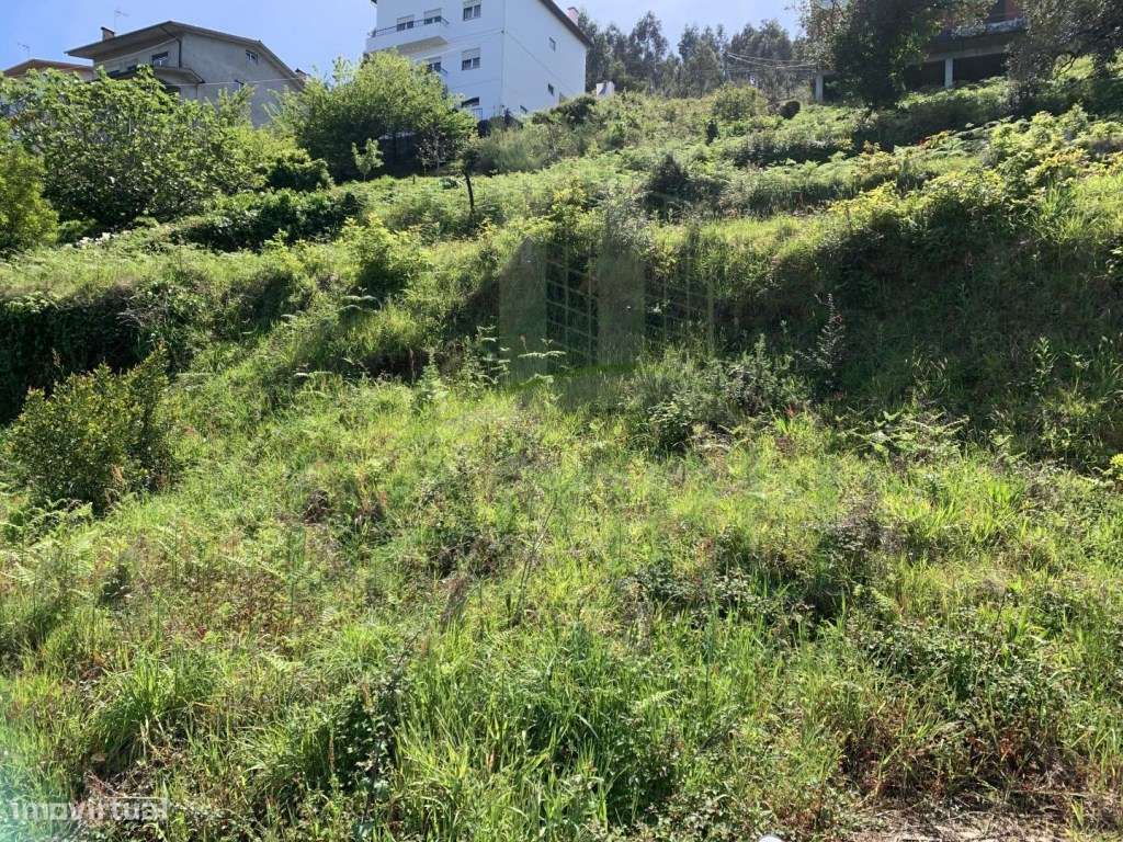 Terreno com vista para o Rio Minho - Grande imagem: 4/8