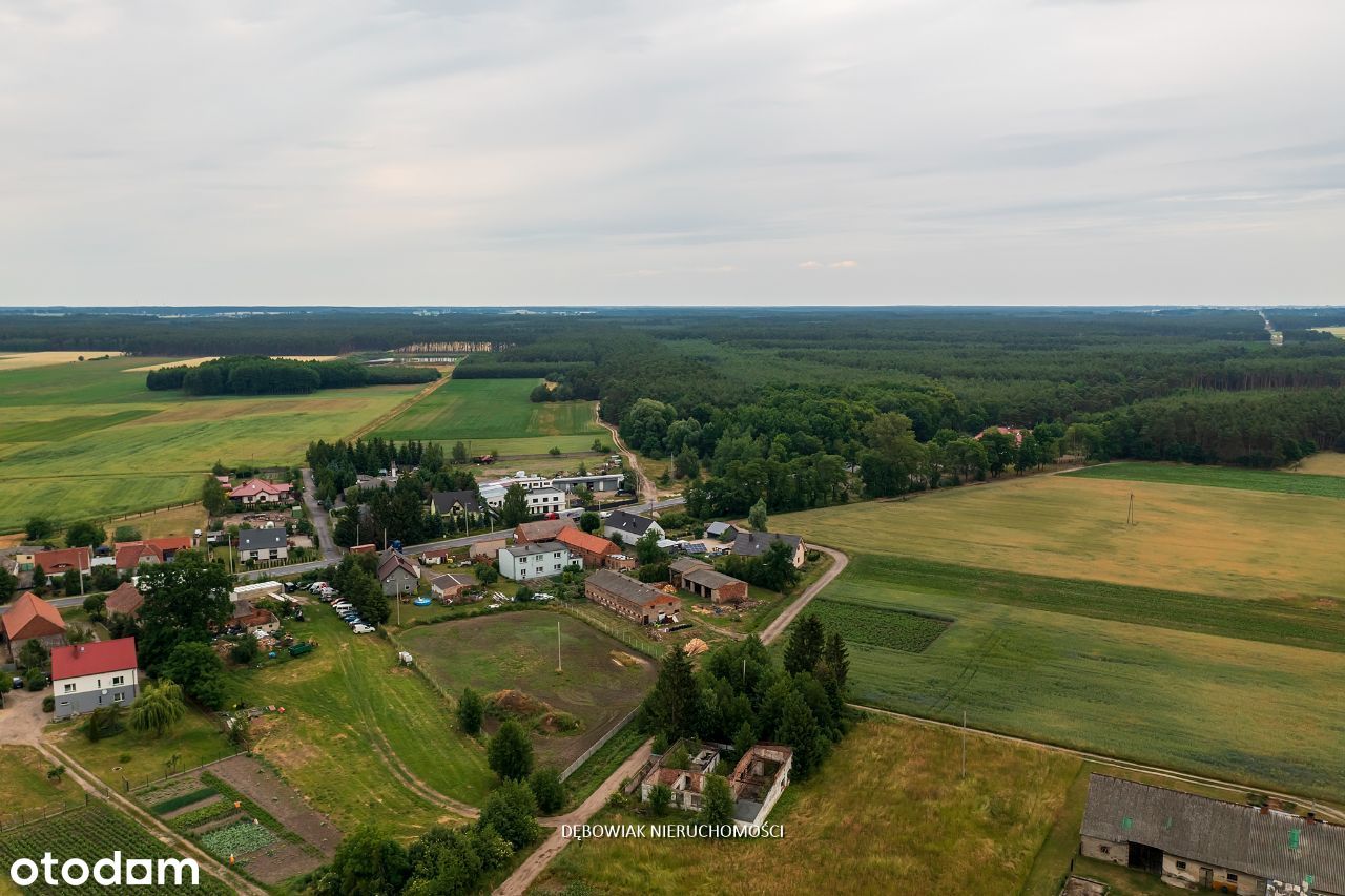 Duża działka budowlana 3000 m2 - Dębowa Łęka