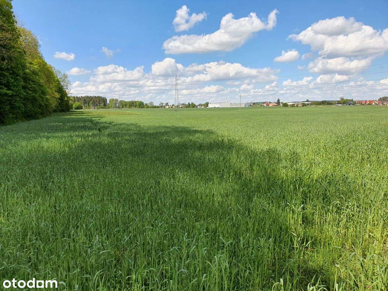 Działki Korpele - Pełny obrazek: 4/11