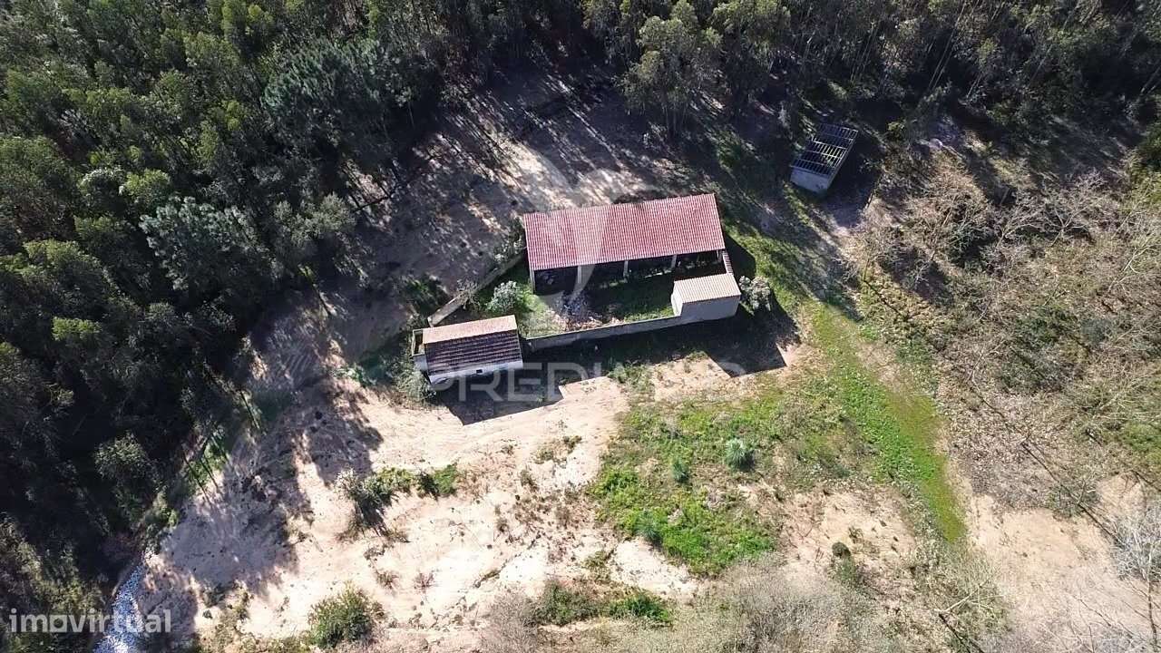 Terreno com 17.615 m² com Ruína e Potencial de Destaque - Grande imagem: 4/4