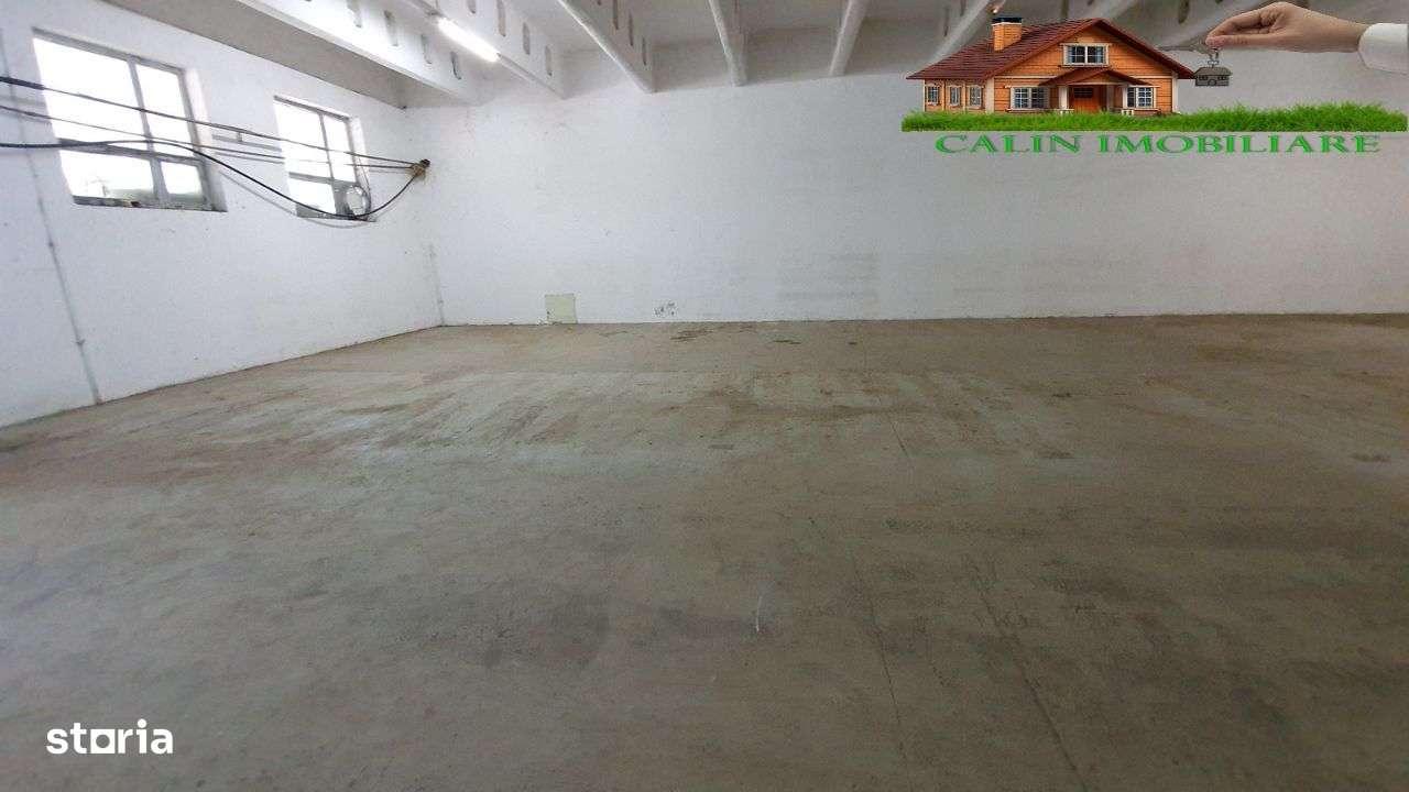 Hală Bucium 356mp Depozitare/Producție/Logistică 5 Euro/mp - Imagine principală: 1/7