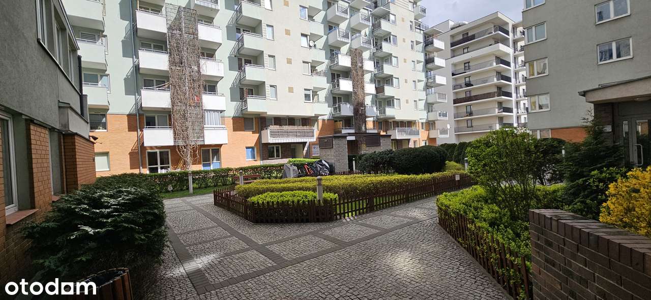 Bezpośrednio ,przestronne, 2 pokoje , 2 balkony. - Pełny obrazek: 2/19