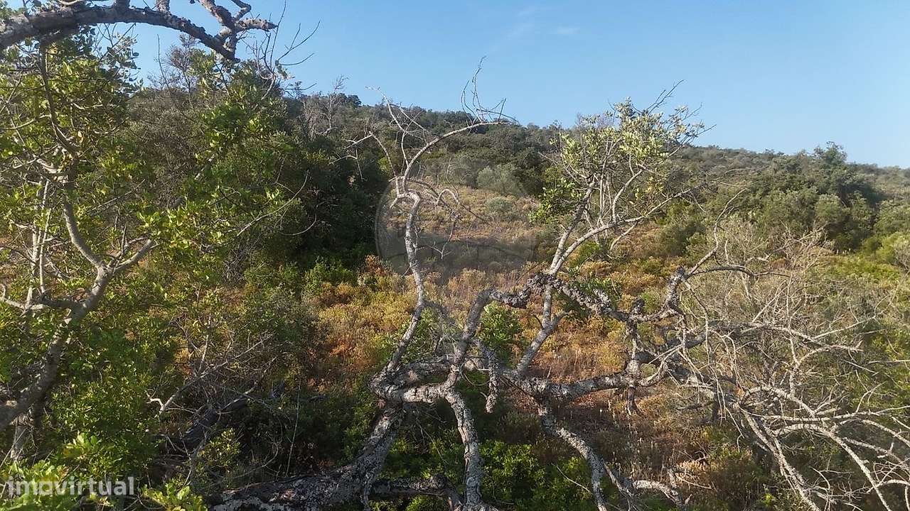 Terreno  para venda-4