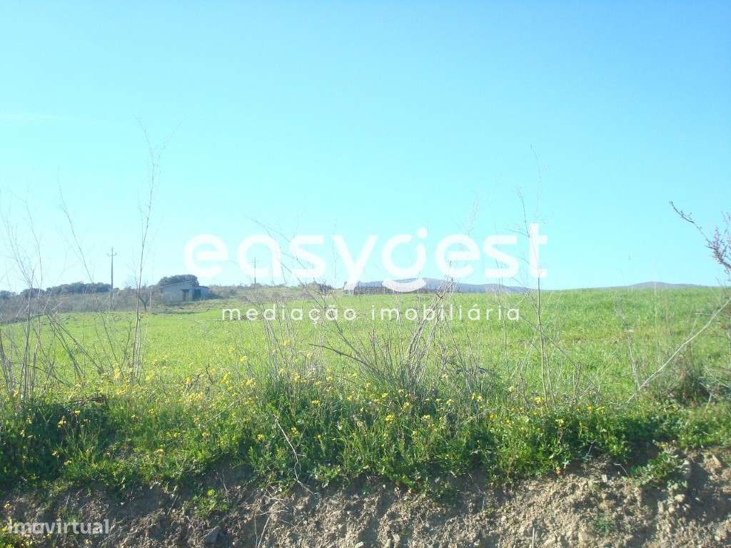 Terreno rústico de 7812 m2 - Grande imagem: 5/7