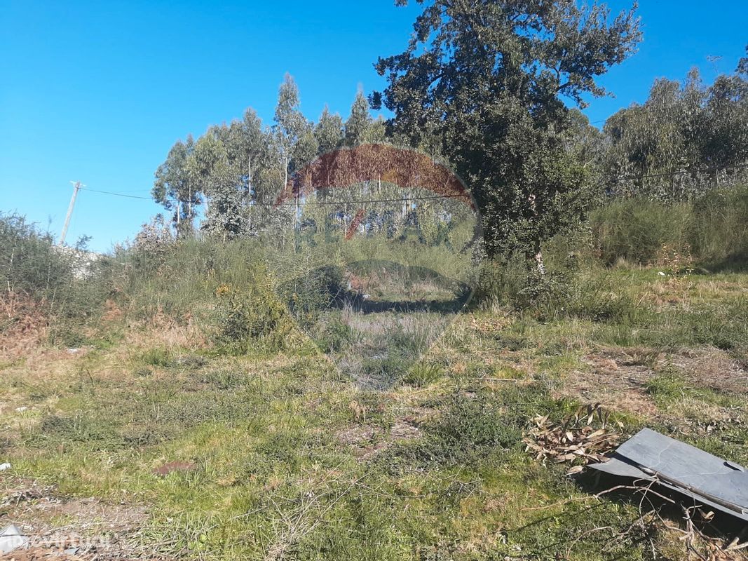 Terreno  para venda