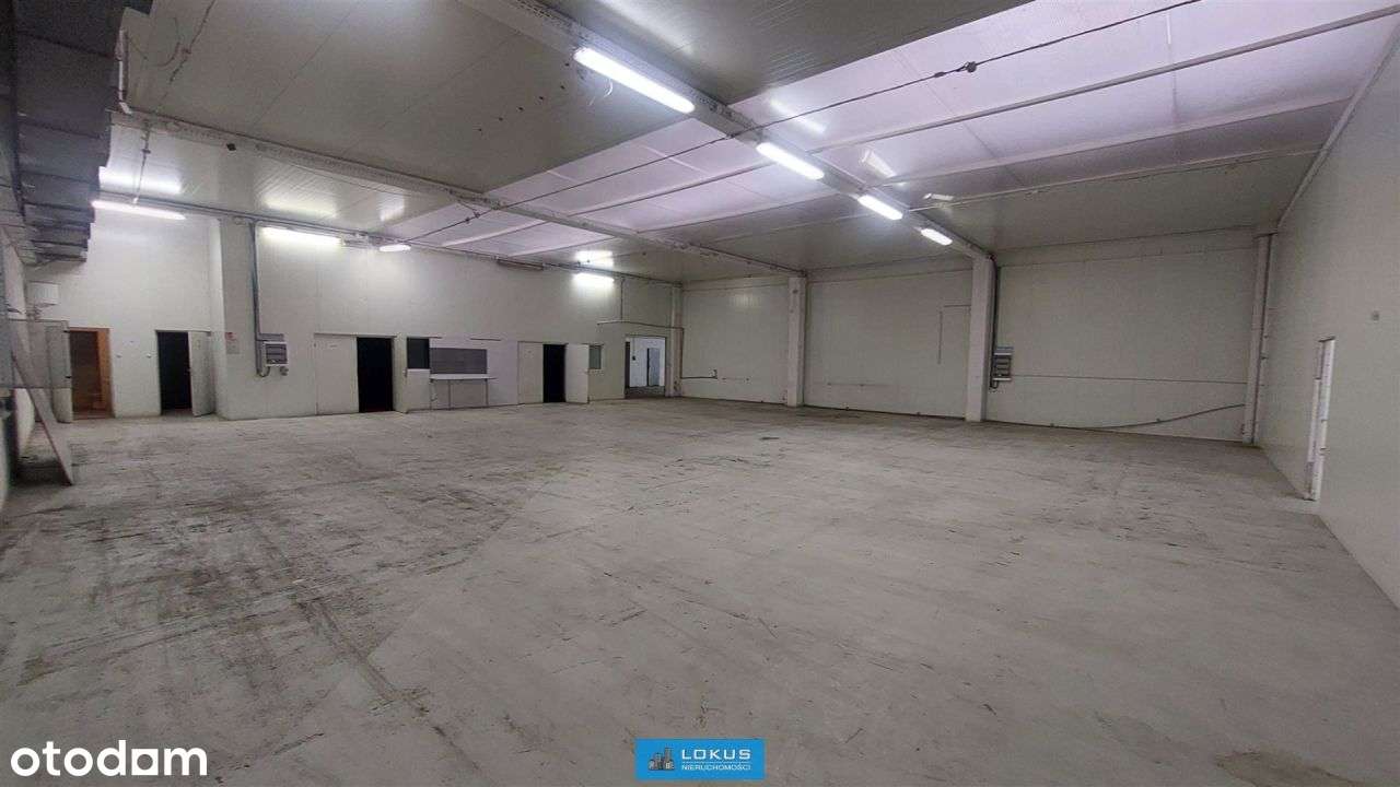 Magazyn Produkcja 2 doki biuro plac - Pełny obrazek: 4/15