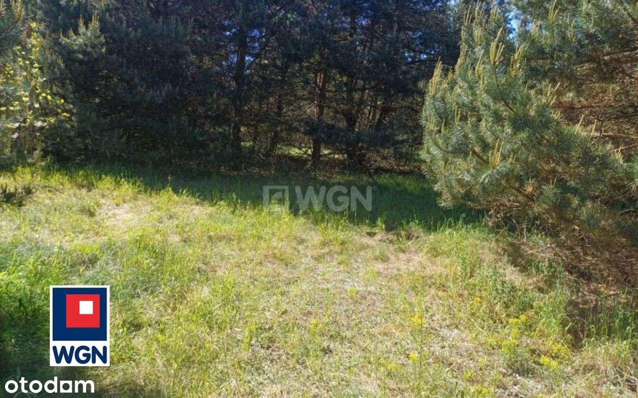 Działka, 2 600 m², Podlesice - Pełny obrazek: 5/10