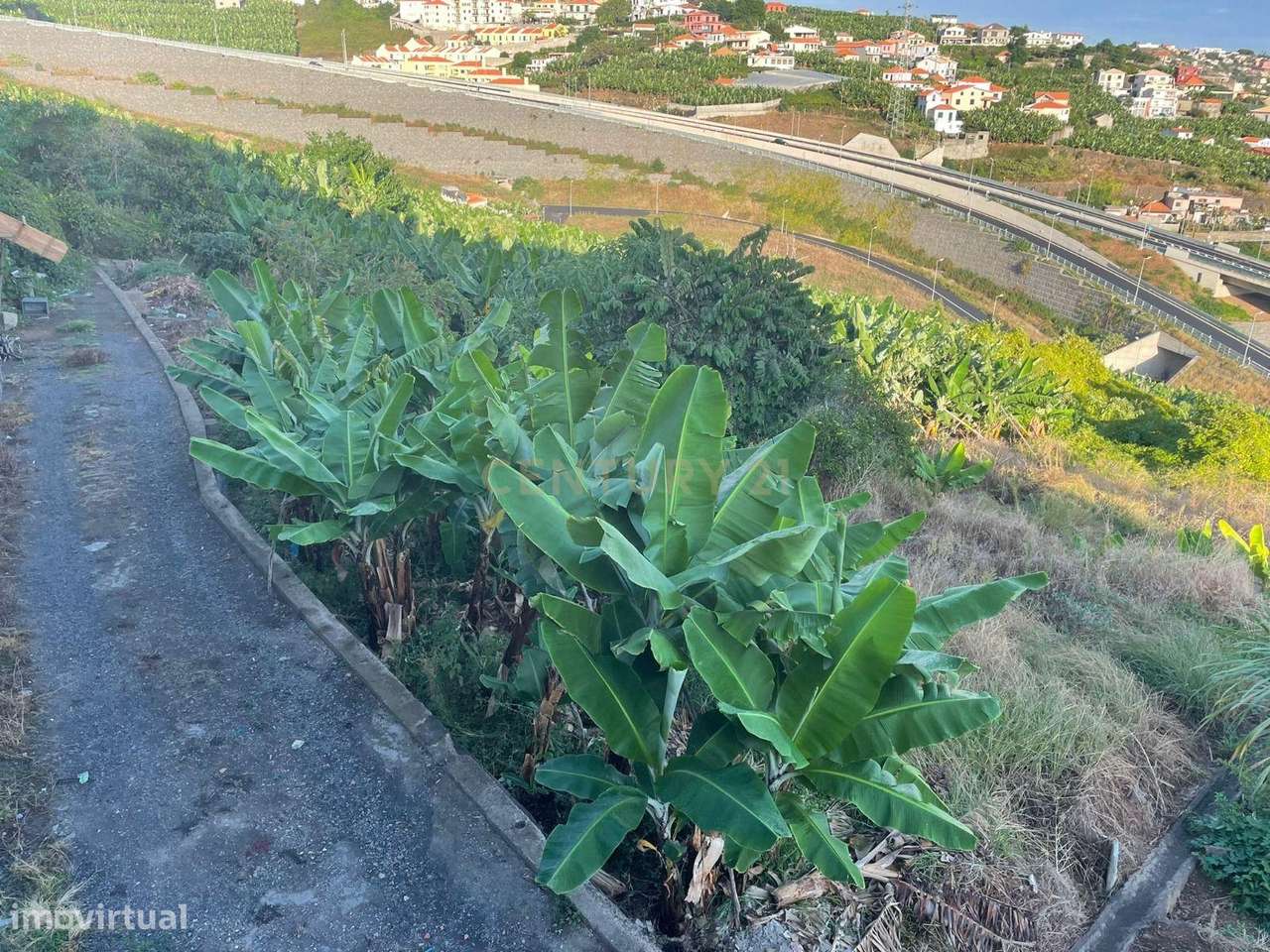Terreno para construção, Câmara de Lobos, Ilha da Madeira - Grande imagem: 5/5