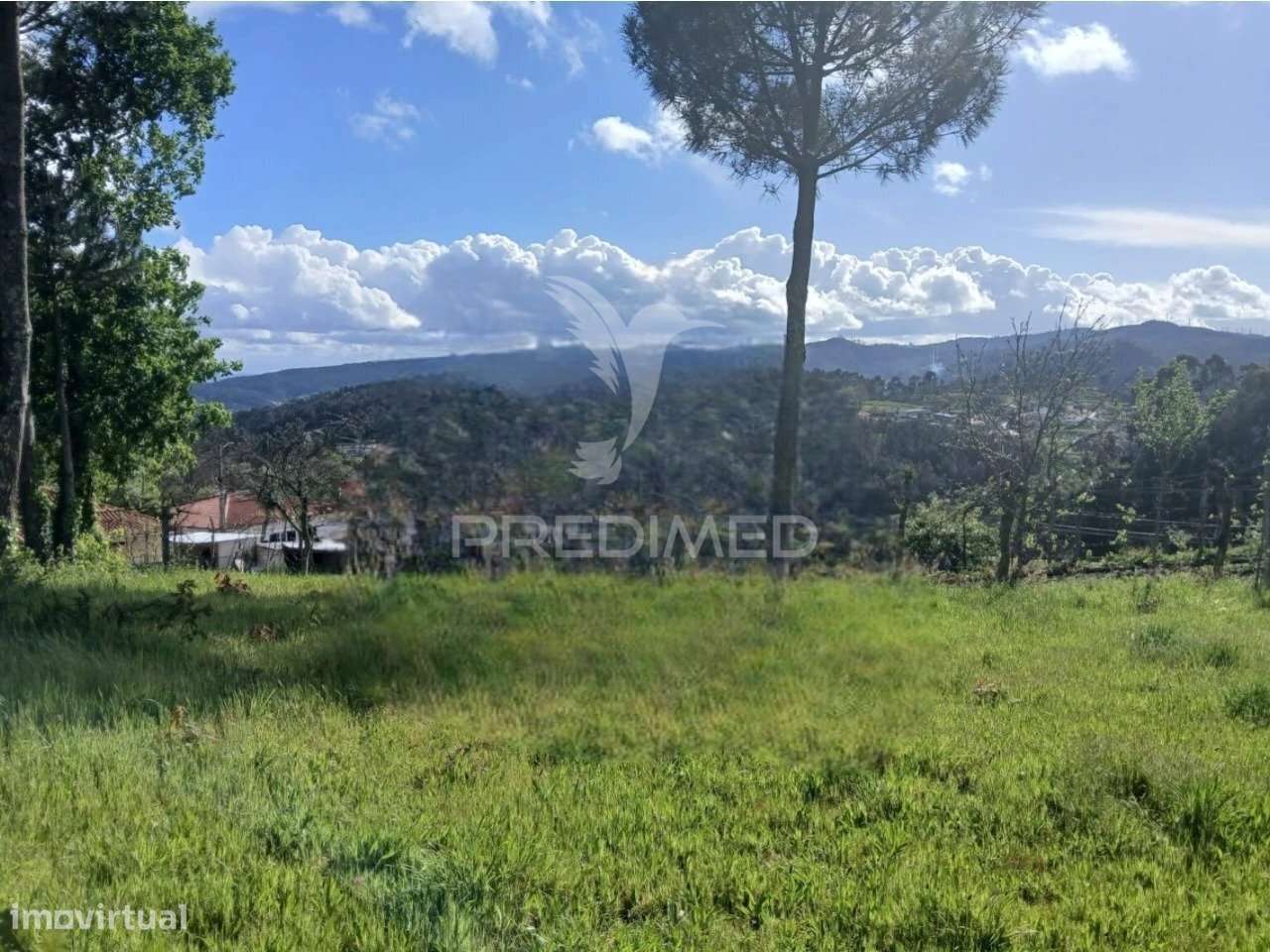 Terreno Rústico em Calvos e Frades – Póvoa de Lanhoso - Grande imagem: 2/4