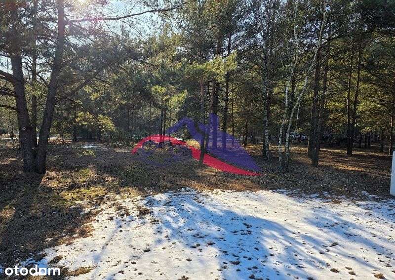 Sprzedam urokliwą działkę - Tuliska - Pełny obrazek: 5/11