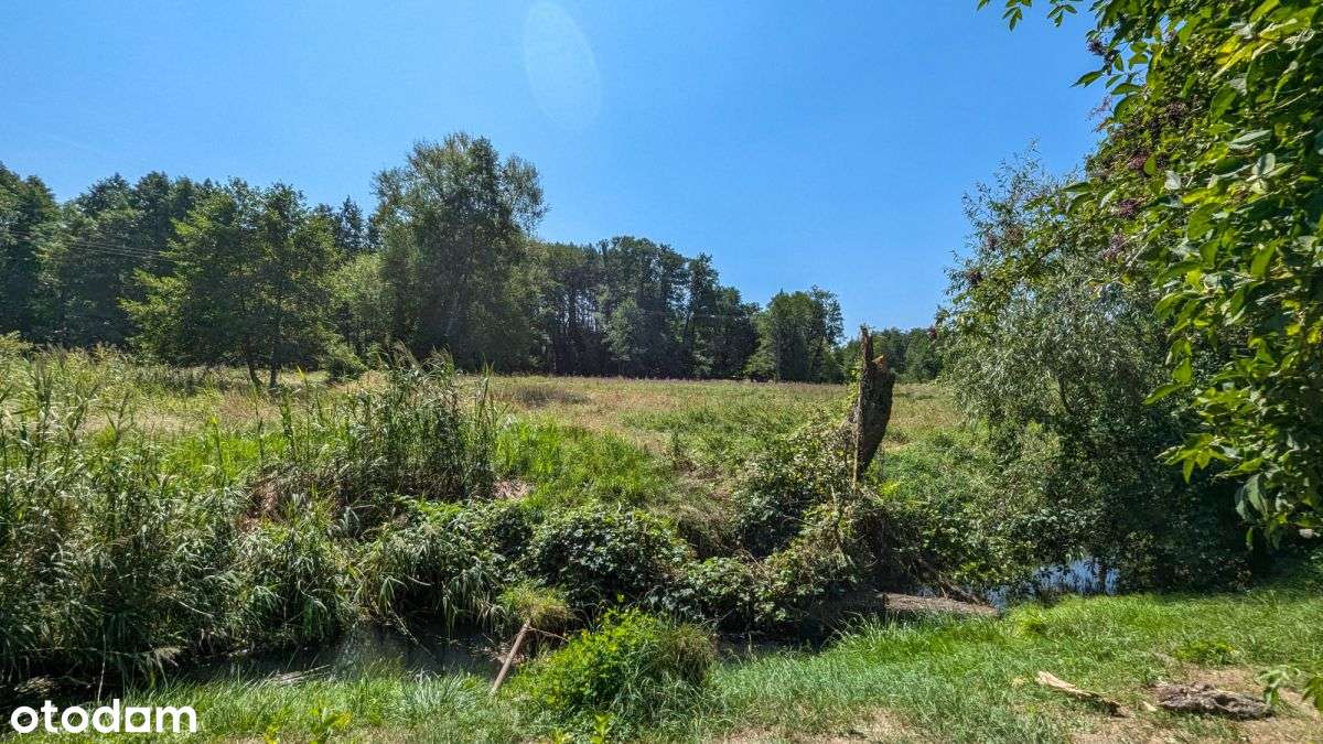 Pół domu z ogrodem *przy Hali Targowej *Kielce - Pełny obrazek: 4/18