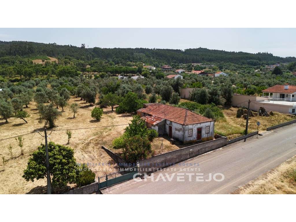 Moradia T1+1 térrea com garagem, com projeto de renovação aprovado ... - Grande imagem: 4/36