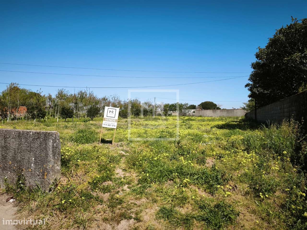 Terreno  Venda em Ouca,Vagos - Grande imagem: 3/4
