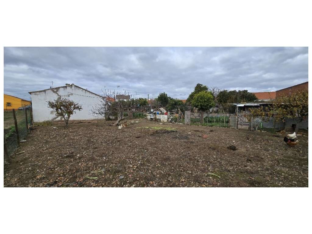 LOTE URBANO c/ 3 Moradias-28