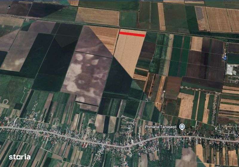 Vand teren extravilan, Tartasesti-Dambovita, 10.000 mp - Imagine principală: 4/4