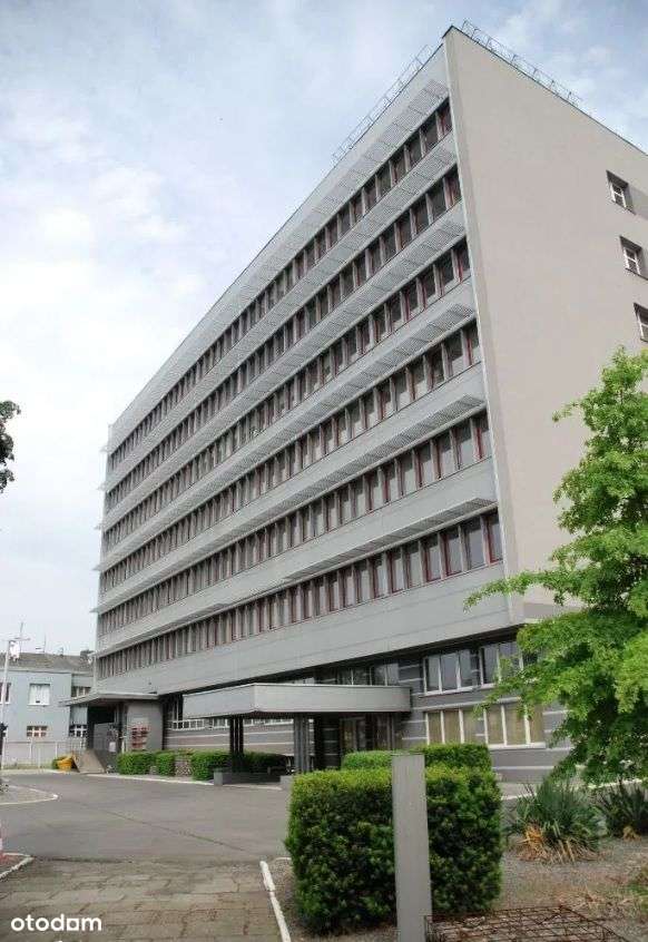 Powierzchnia biurowa 124 m2/ centrum / atrakcyjna cena - Pełny obrazek: 2/11