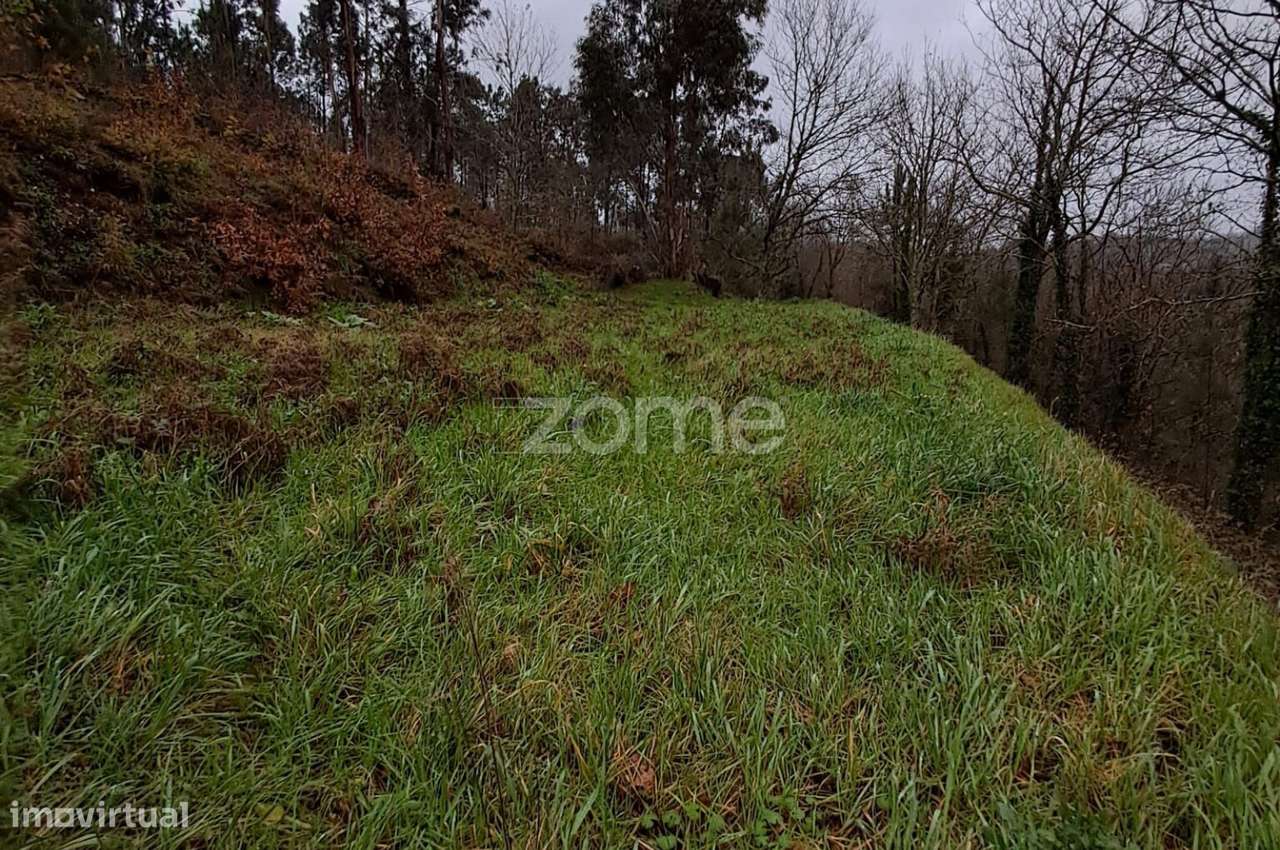 Lote com 1300m2 com projeto aprovado para moradia individual - Grande imagem: 5/10