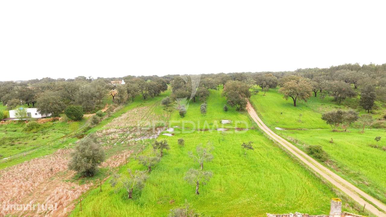 Terreno Rustico com 18000m2 - Grande imagem: 3/9