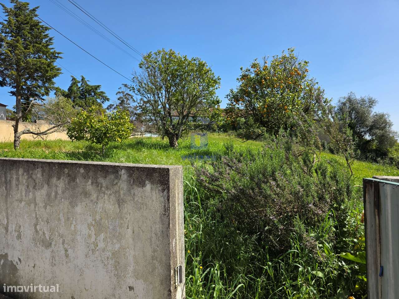 Quintinha com 12.484m2 de Terreno e 260m2 de área bruta. Possibilidad-15