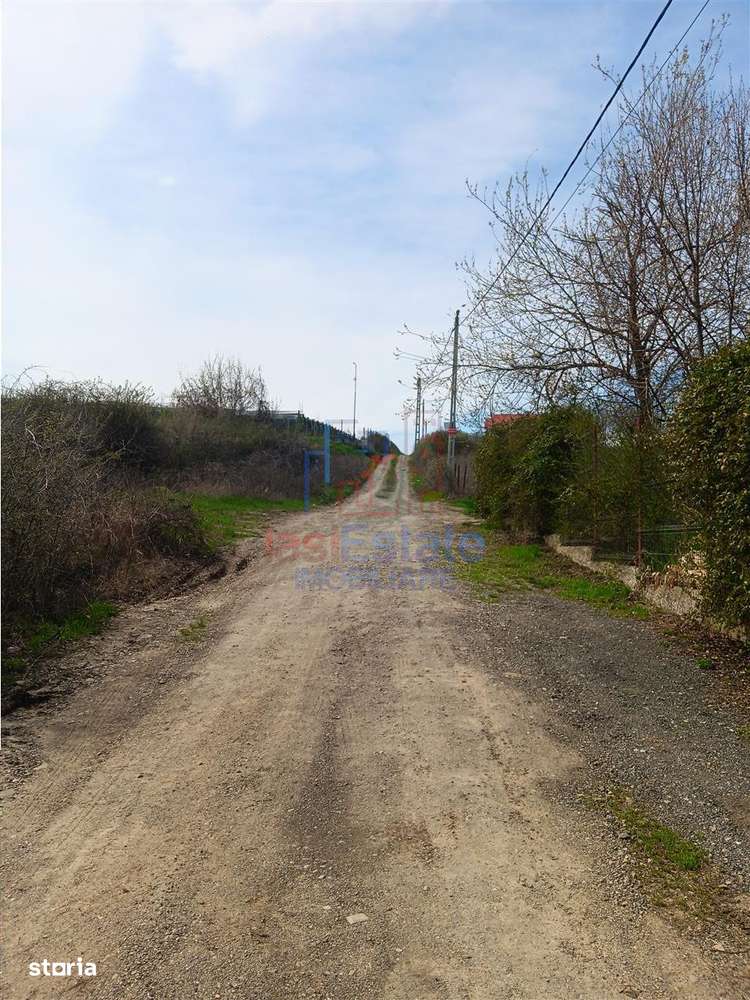 Visan str Castanul Unirii TEREN 729mp cu dubla deschidere toate utilit-6