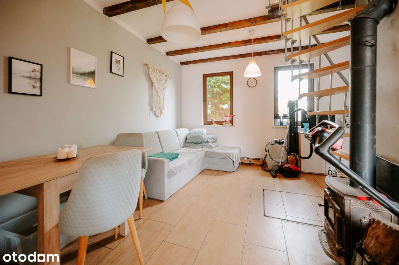 Działka ROD – całoroczna, murowana altana, Morena, media - Pełny obrazek: 5/15