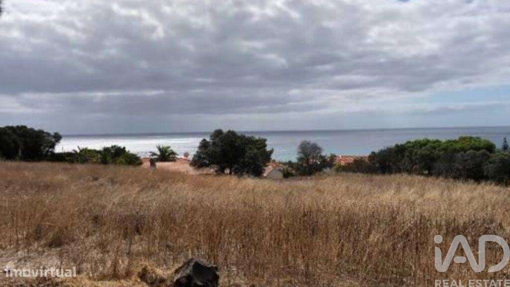 Prédio T5 em Porto Santo de 4766,00 m2 - Grande imagem: 2/15