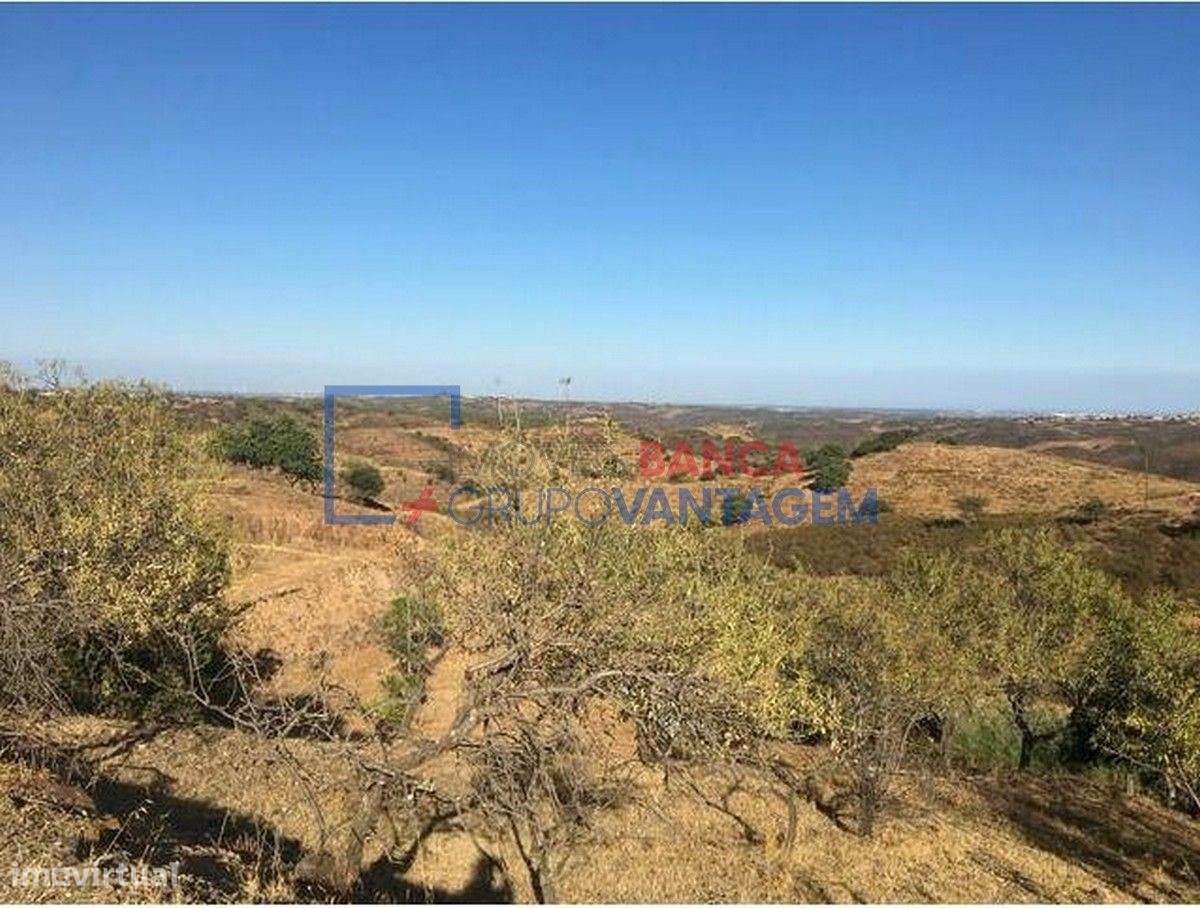 Conjunto de 2 terrenos rústicos, com uma área total de 10.586m², lo... - Grande imagem: 4/6