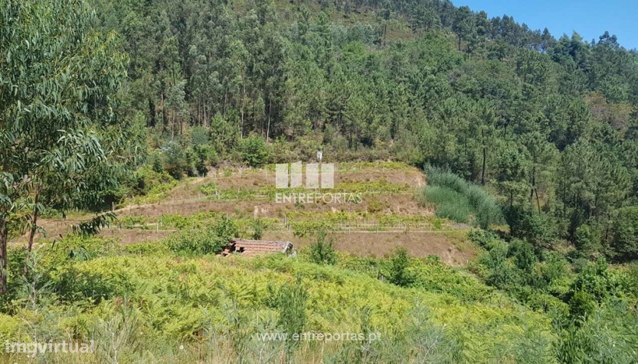 Venda Terreno, Chapa, Amarante - Grande imagem: 4/10