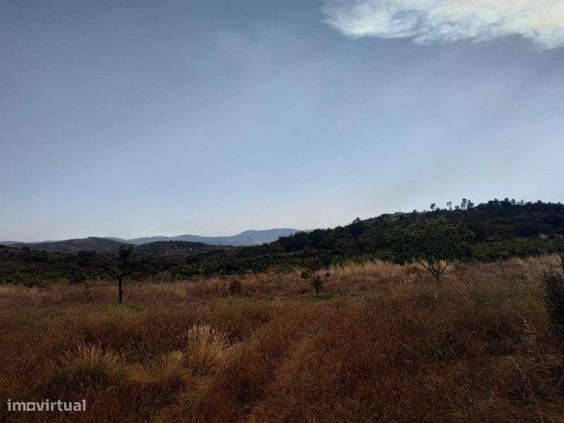 Terreno agrícola em activo. - Grande imagem: 4/12