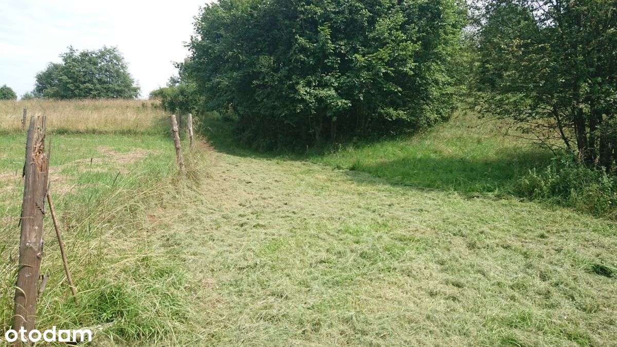 Okazja - Działki 1,5299 Ha W Ślemieniu - Pełny obrazek: 4/6