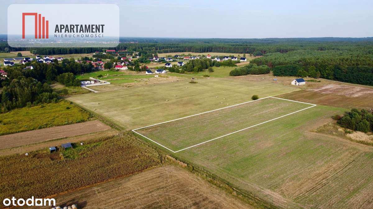 Działki w Dolinie Baryczy! Kaszowo! Przy Lesie! - Pełny obrazek: 4/4