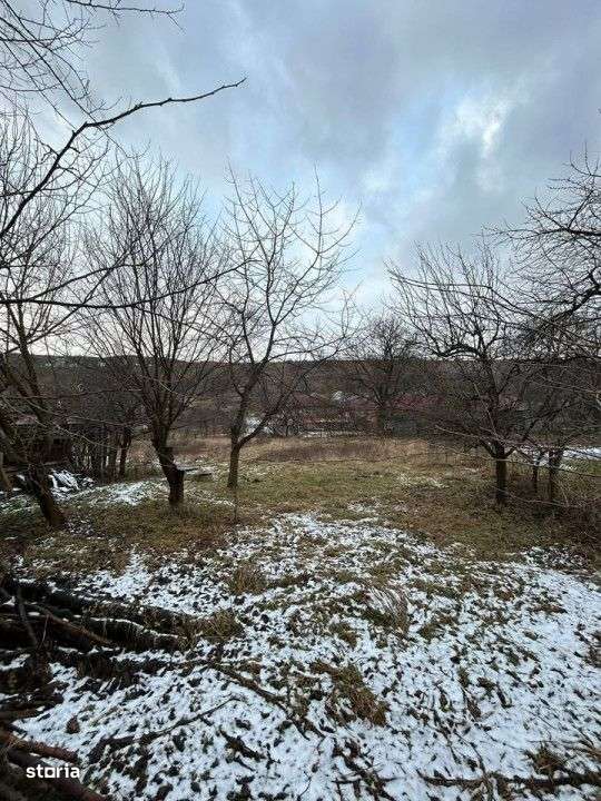 Casa veche in Suceagu cu teren 1715 mp2 - Imagine principală: 3/6