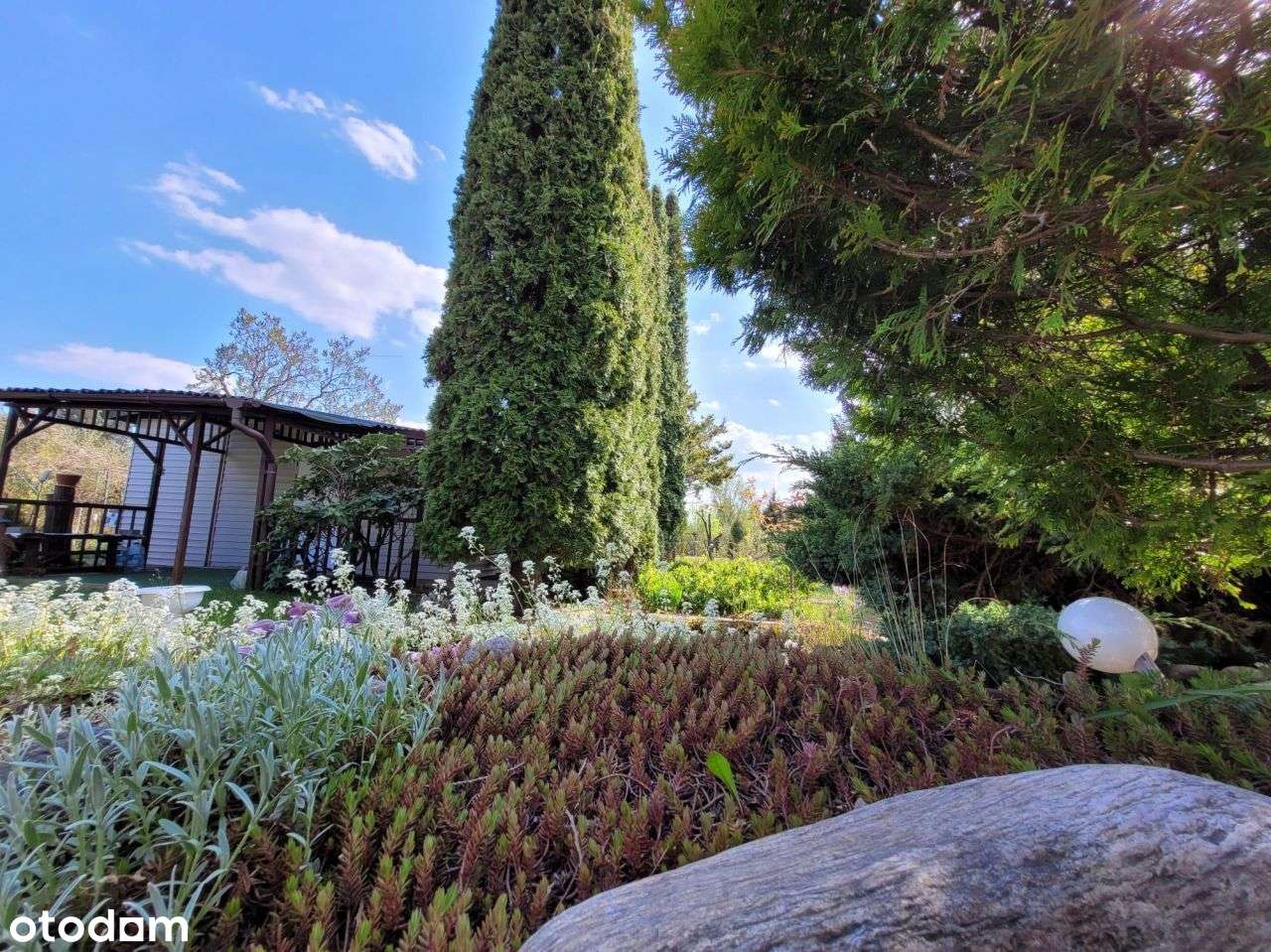 Działka Rod 300m na Paluchu - Pełny obrazek: 5/17