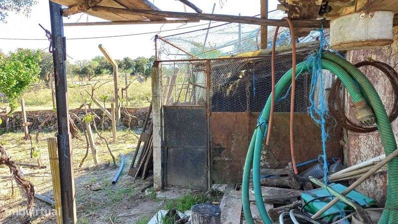 Escalos de Baixo - Quinta com abundância de água e infraestruturas - Grande imagem: 5/12