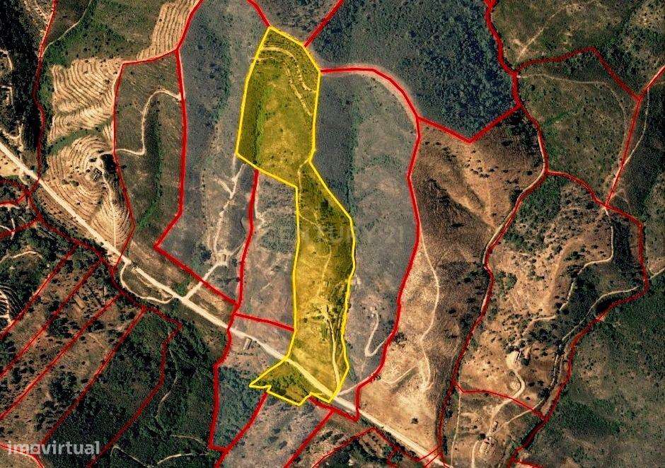 Herdade com 6 Ha  com uma casa térrea - Grande imagem: 5/19