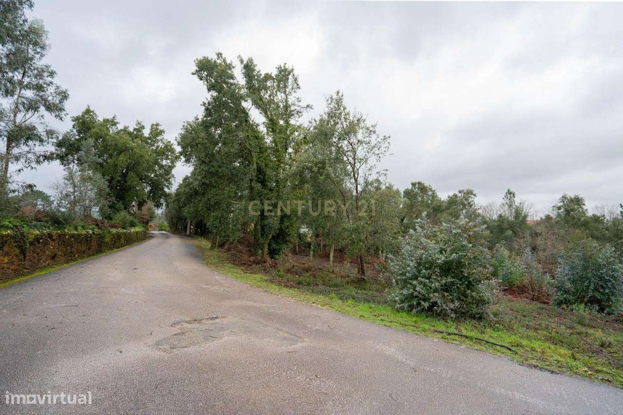 Terreno de 6.600m2 com Potencial de Construção - Vila Nova de Poiares - Grande imagem: 4/13