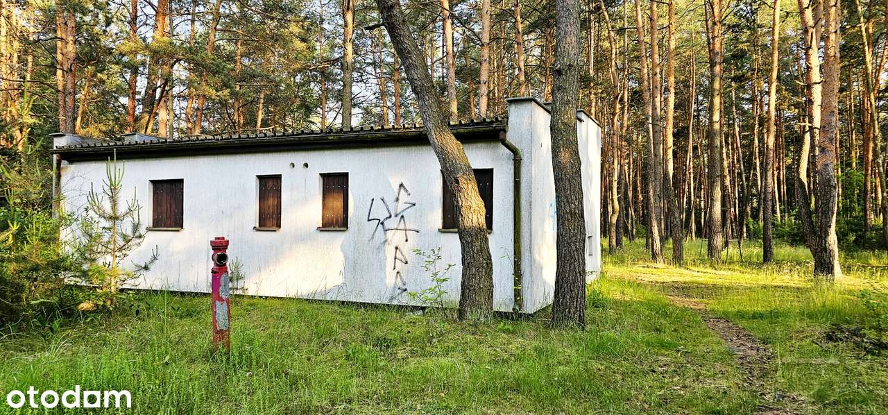 Urocze, leśne domki letniskowe przy jeziorze! Kucoby!-5