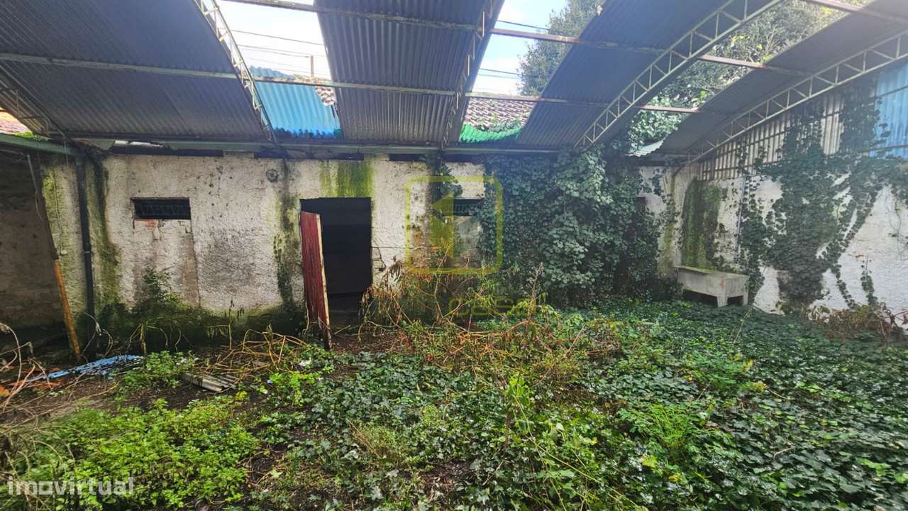 Moradia Térrea em Eixo - Grande imagem: 4/14