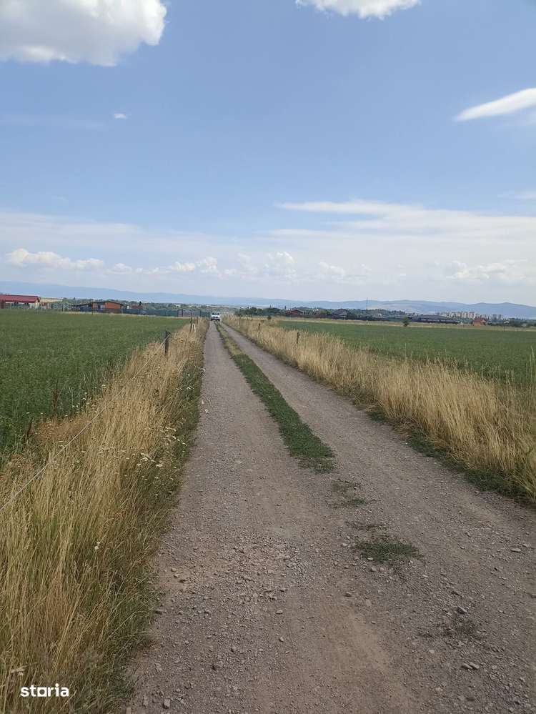 De vânzare teren extravilane în Sfântu Gheorghe - Imagine principală: 5/8