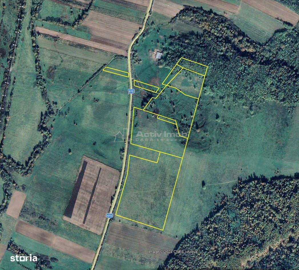 Forotic, Teren Drept Pentru Investitie, 13.2 Hectare (132.000 Mp.), La - Imagine principală: 1/8