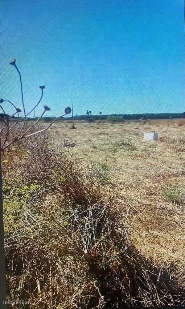 Terreno Rústico no Ludo, Almancil – 8.400 m² Próximo da Quinta do Lago - Grande imagem: 4/7