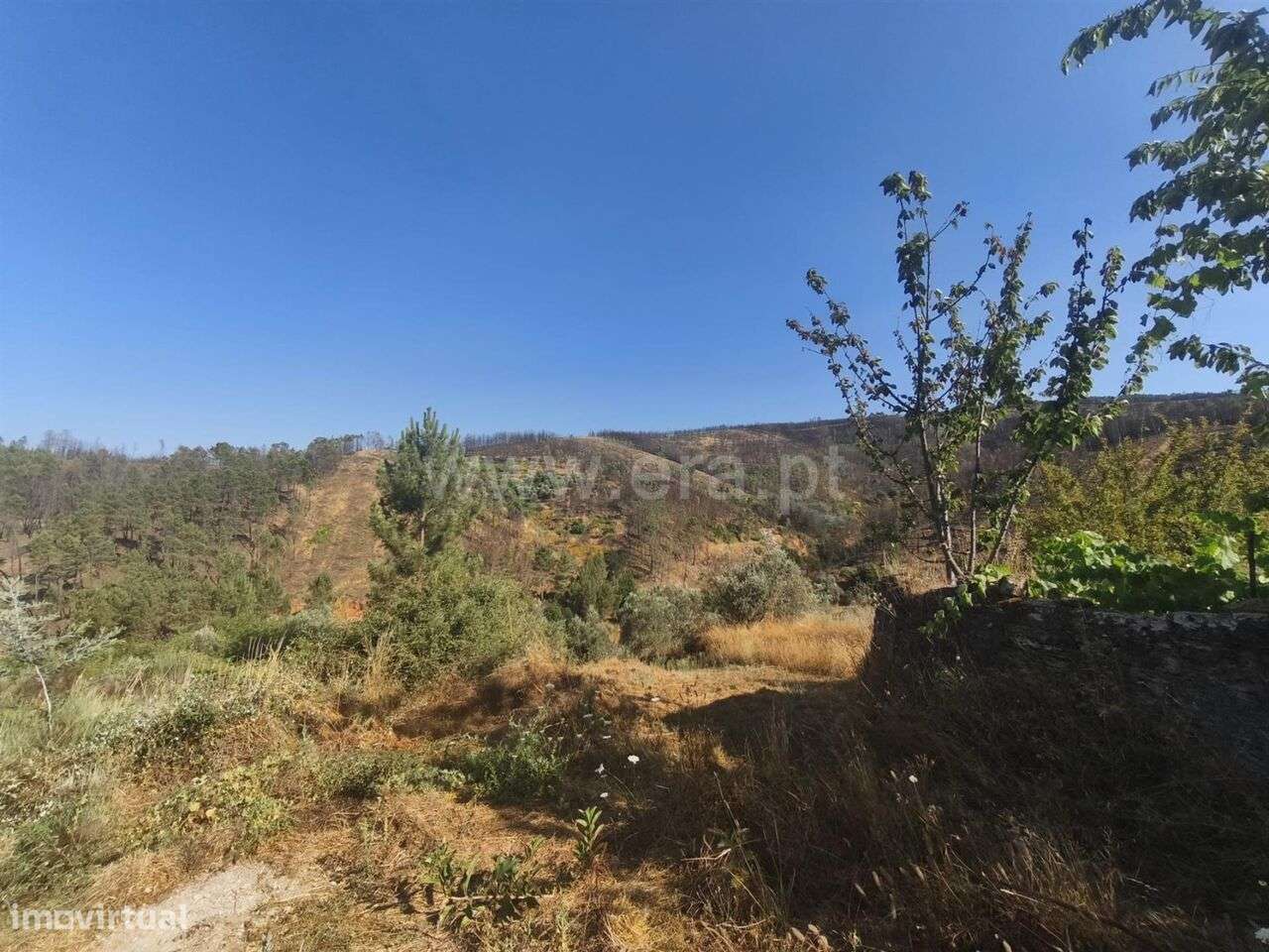 Terreno Rústico / Fundão, Silvares - Grande imagem: 4/7