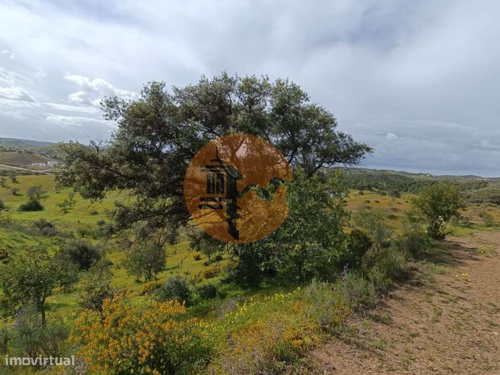TERRENO COM 26.120 M2 - POSSIBILIDADE DE CONSTRUIR UM ARMAZÉM - RIO... - Grande imagem: 3/31