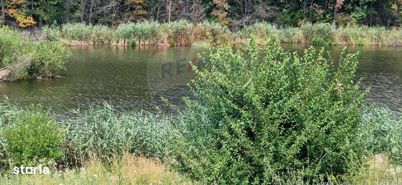 DE VANZARE Teren agricol 4500mp Moara Vlasiei - Imagine principală: 4/5