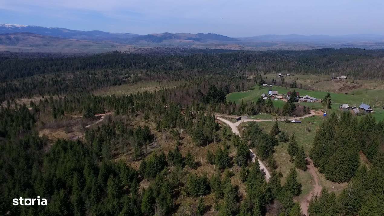 Teren intravilan 3,584mp Calatele Padure-6