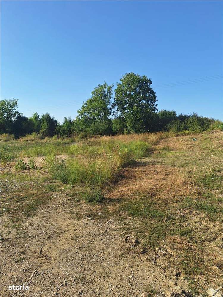 Reco, teren intravilan  Alesd - Imagine principală: 4/5