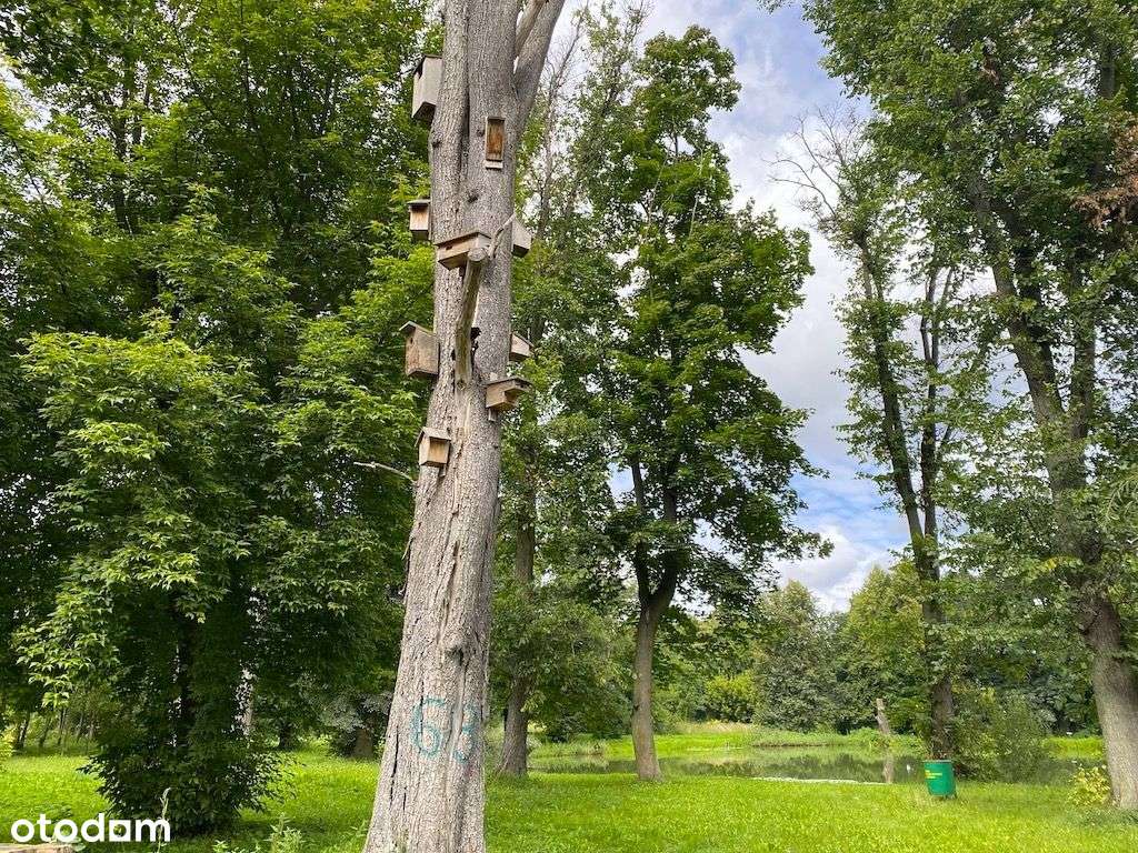 Działka w pięknej okolicy przyrody !!! - Pełny obrazek: 2/9