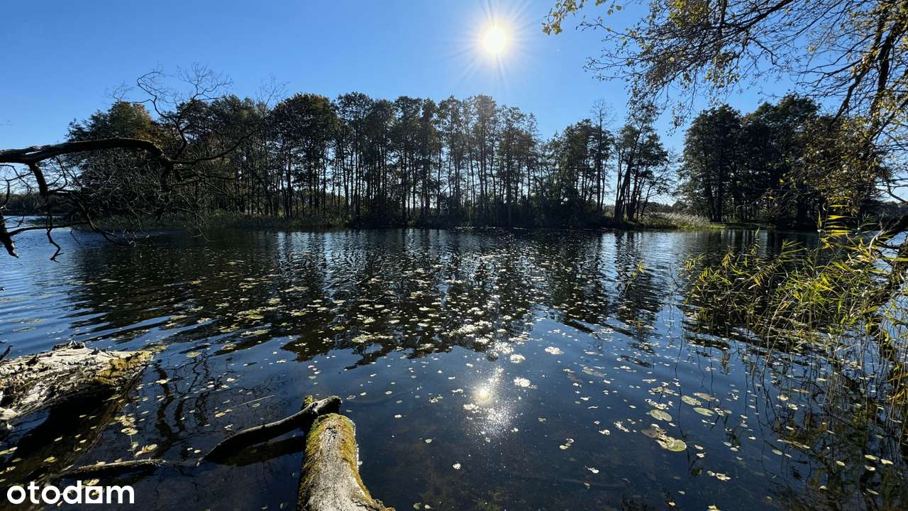Działka z linią brzegową jeziora Dadaj - Pełny obrazek: 4/6